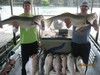 (06/03/2015) - Nice Striped Bass
